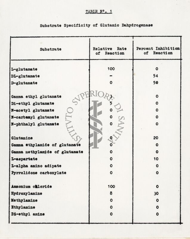 Lavoro sulla cinetica e sulle reazioni di equilibrio della deidrogenasi cristallina dell'acido glutammico