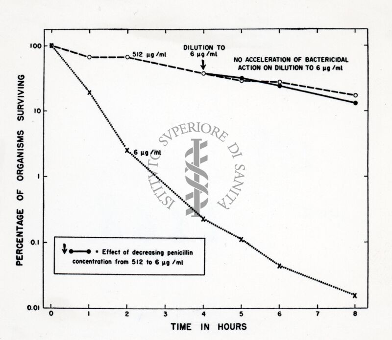 Effetto della concentrazione della Penicillina sull'azione battericida