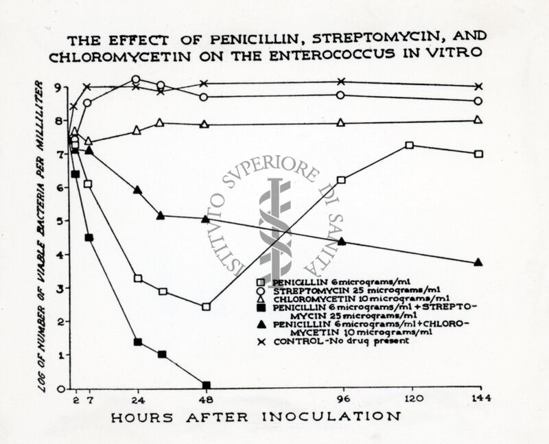 Effetto della Penicillina, streptomicina e cloromicetina sull'Enterococcus in vitro