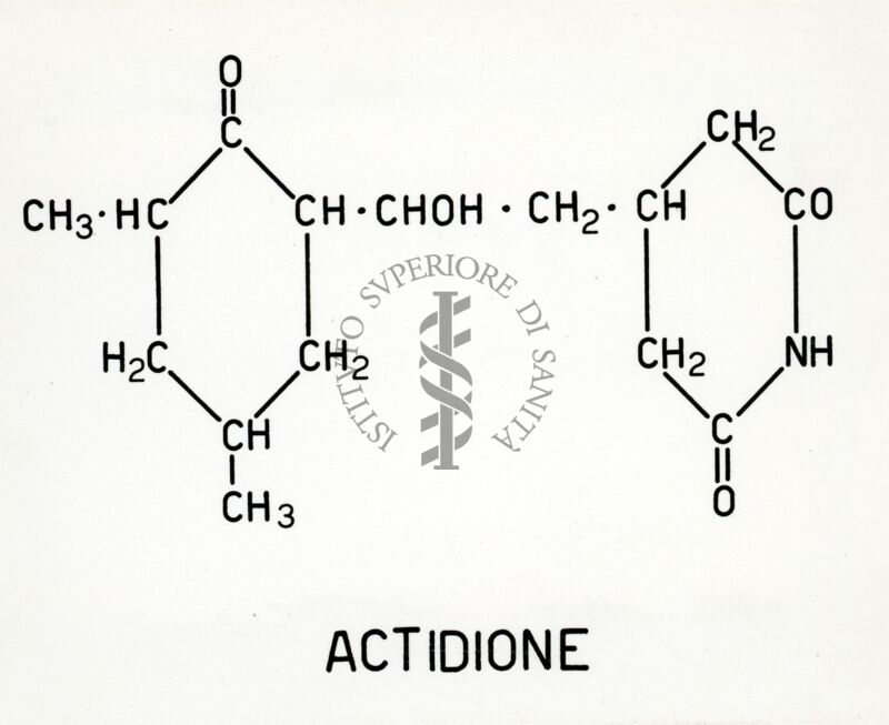 Formula di struttura dell'actidione