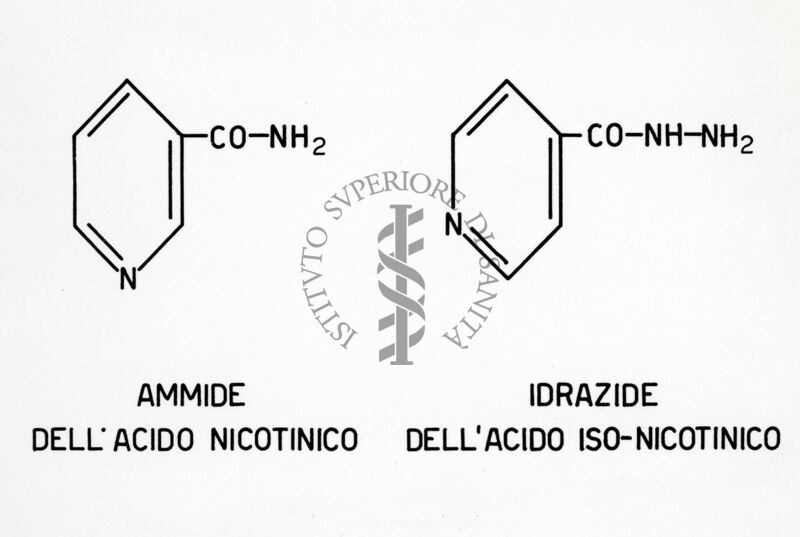 Formula di struttura della nicotinammide e dell'idrazide dell'acido isonicotinico