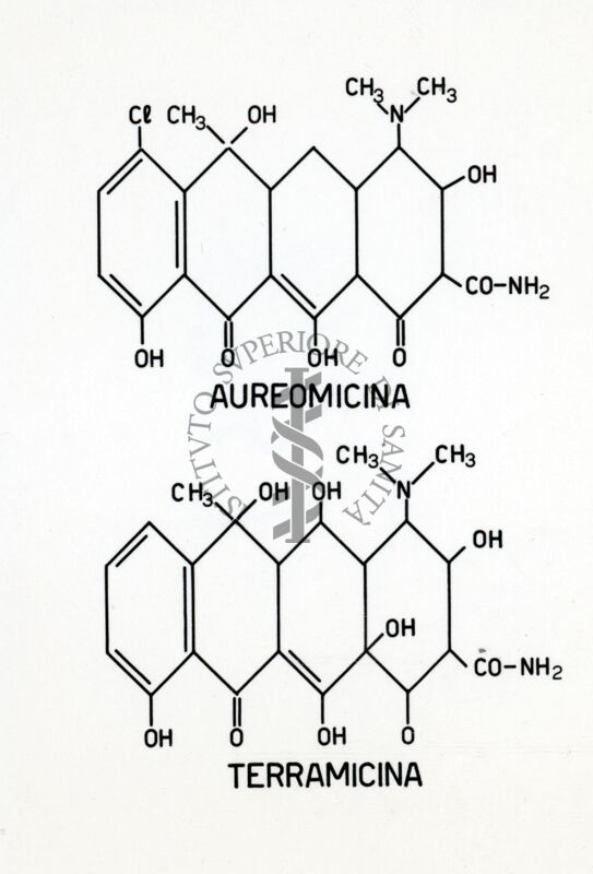 Formule di struttura dell'aureomicina e terramicina