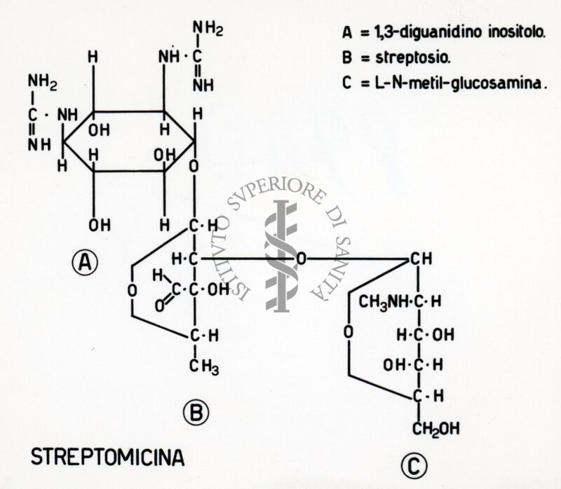 Formule di struttura della streptomicina