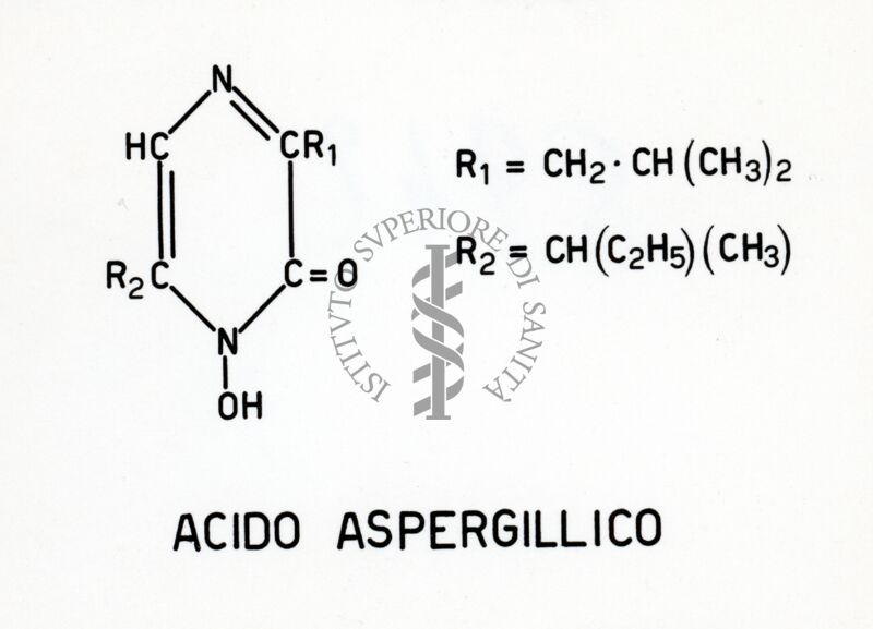 Acido aspergillico (formula di struttura)