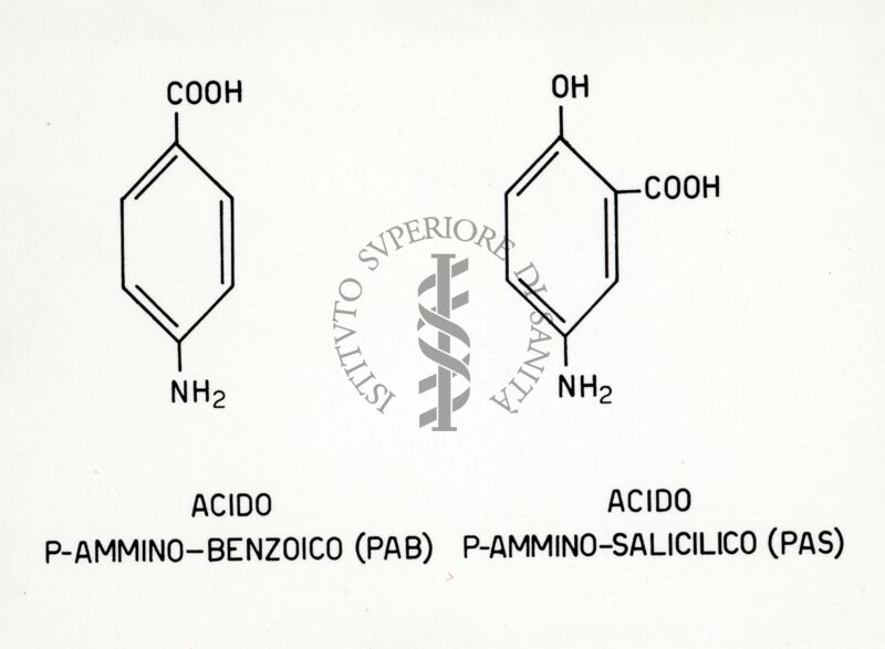 Formule di struttura del Pab e del Pas