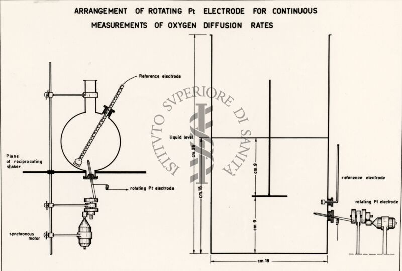 Riproduzione da disegno