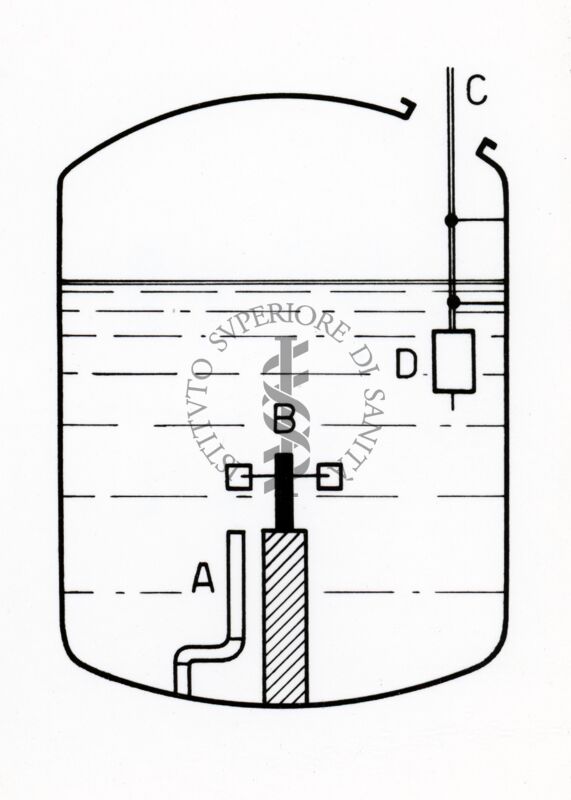 Riproduzione da disegno