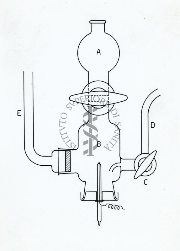 Riproduzione da disegno