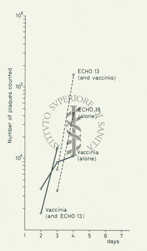 Grafico: sull'asse delle ordinate è scritto "Number of plaques counted", sull'asse delle ascisse sono riportati i giorni, all'interno del grafico: Vaccinia ed ECHO13