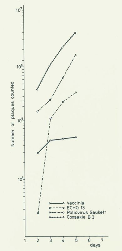 Grafico: sull'asse delle ordinate è scritto "Number of plaques counted", sull'asse delle ascisse sono riportati i giorni, all'interno del grafico: Vaccinia, ECHO13, Poliovirus Saukett, Coxsakie B3