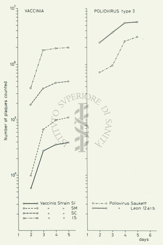 Due grafici accostati: sull'asse delle ordinate è scritto "Number of plaques counted", sull'asse delle ascisse sono riportati i giorni, all'interno dei grafici sono riportati vari parametri