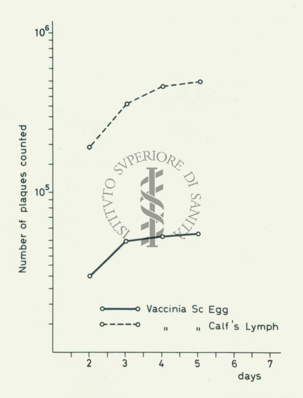 Grafici: sull'asse delle ordinate è scritto "Number of plaques counted", sull'asse delle ascisse sono riportati i giorni, all'interno del grafico sono riportati due parametri