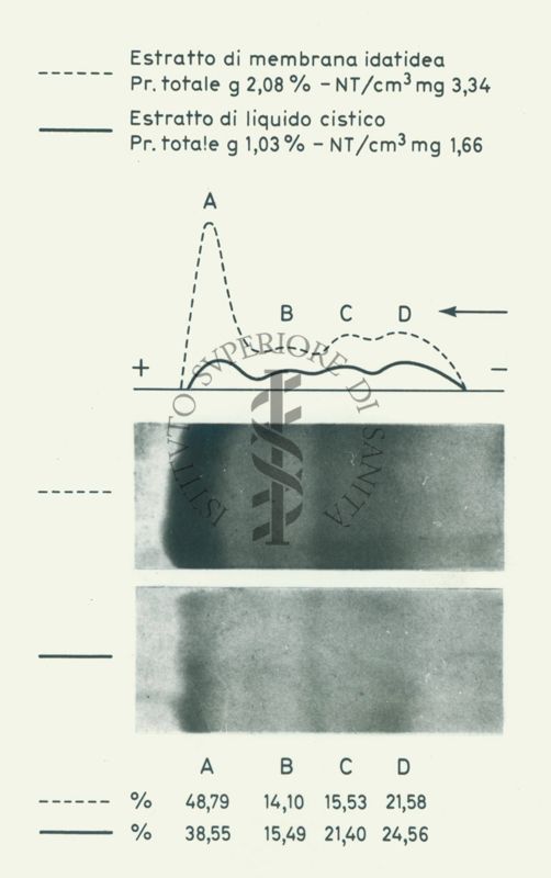 Scheda su dati riguardanti: l'"estratto di membrana idatidea" e l'"estratto di liquido cistico". E' presente un grafico con due immagini sottostanti e una serie di numeri percentuali