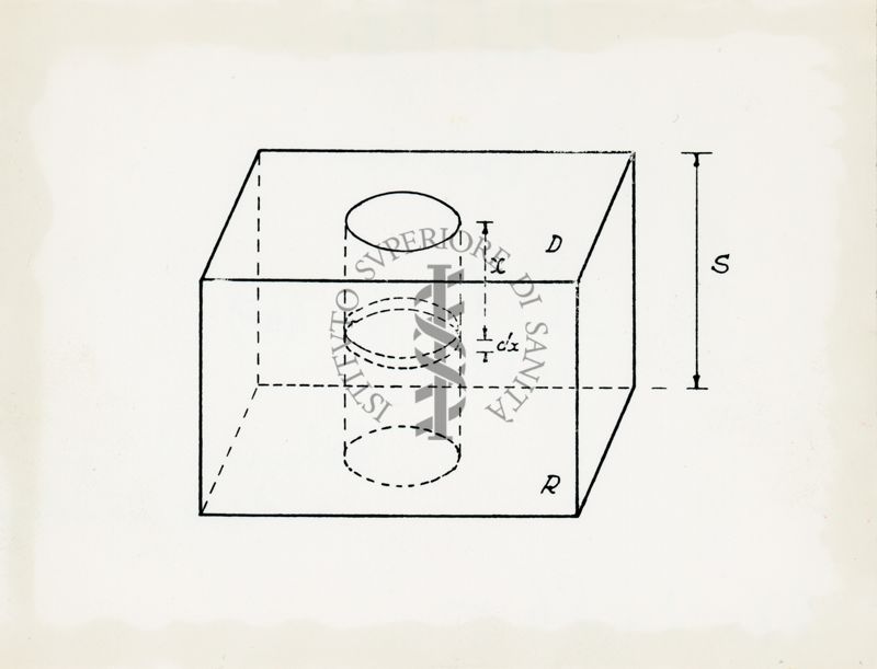 Schema di un radiocromatogramma