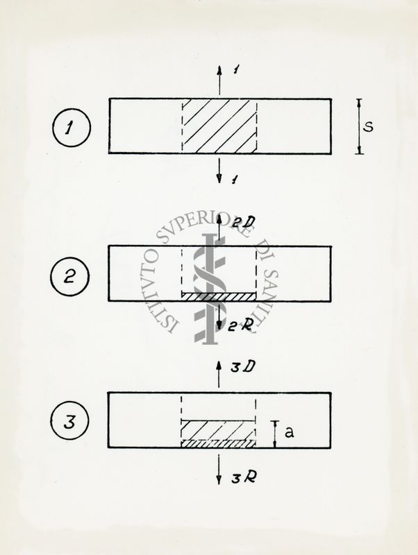 Schema di eterogeneità di un radiocromatogramma