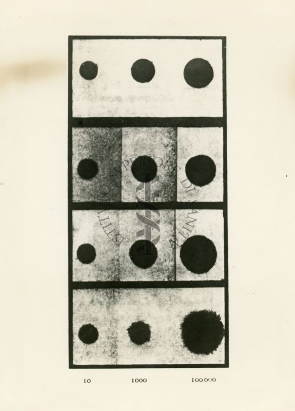 Studi sulla grana delle emulsioni fotografiche