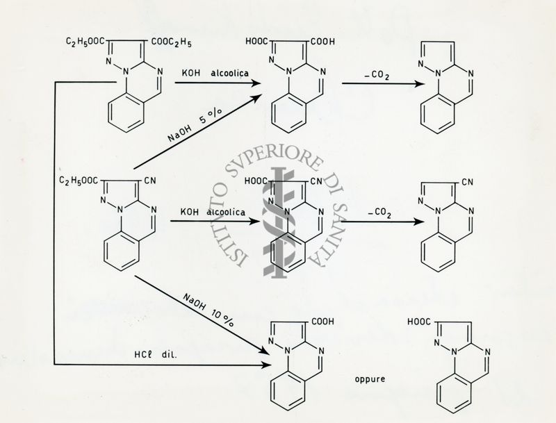 Sintesi eterocicliche con alogenuri idrazonici: derivati pirazolo - chinazonilici