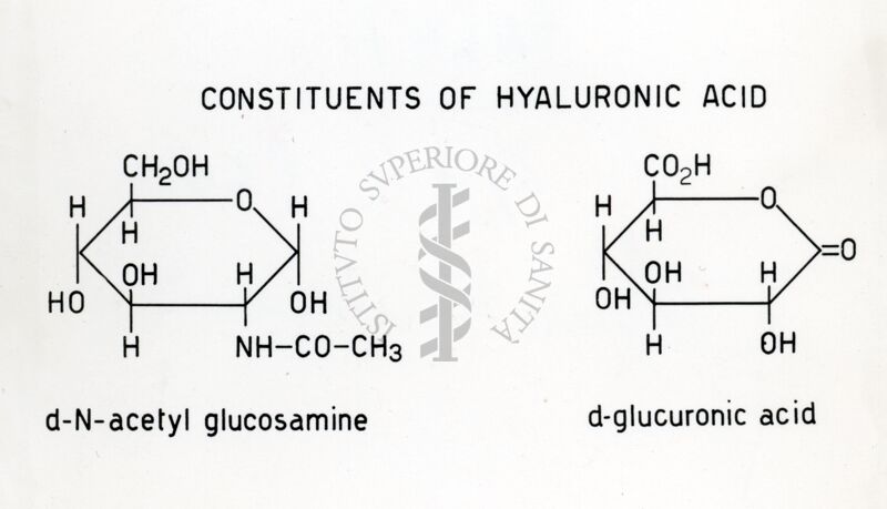 Formula riguardante l'acido Ialuronico