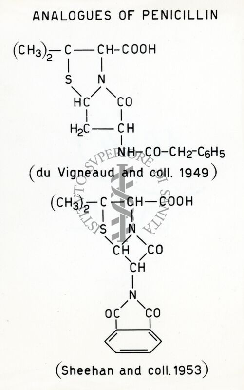 Formule riguardanti le sostanze analoghe alla Penicillina