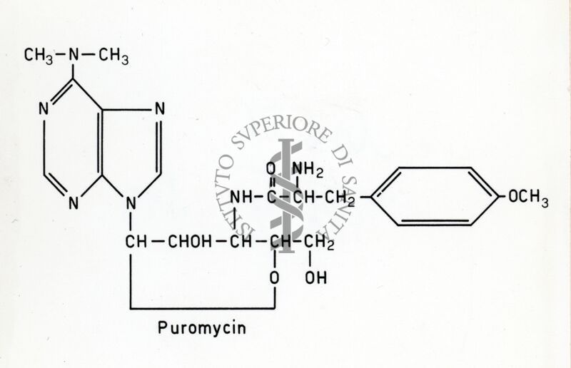 Formula della Puromicina