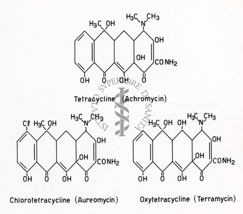 Formule riguardanti antibiotici vari