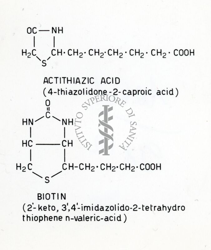 Formula riguardante la Biotina