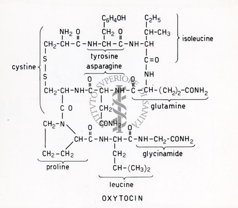 Formula riguardante l'Ossitocina