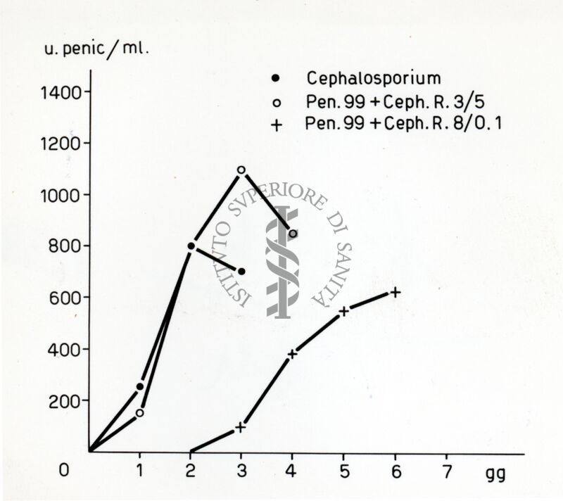 Culture miste tra Penicillium e Cephalosporium