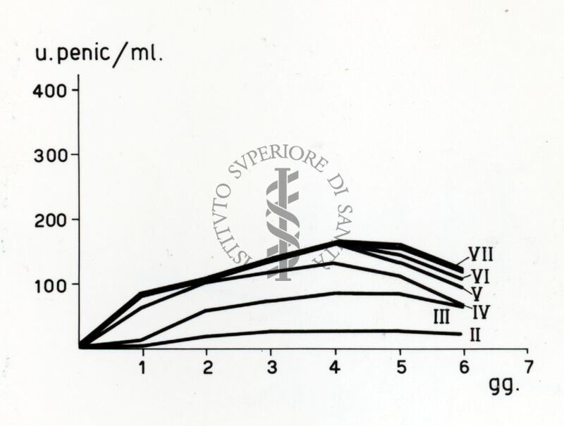 Culture miste tra Penicillium e Cephalosporium