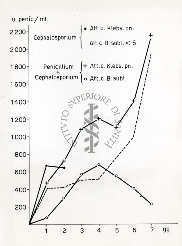 Culture miste tra Penicillium e Cephalosporium