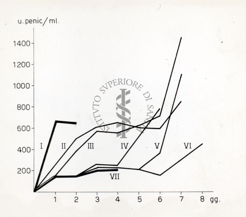 Culture miste tra Penicillium e Cephalosporium