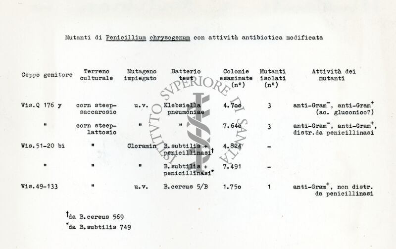 Mutanti e antibiosi in Penicillium