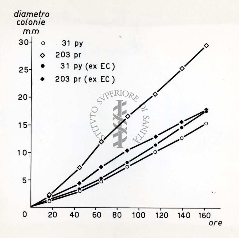 Fattore citoplasmatico in Penicillium