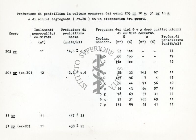 Fattore citoplasmatico in Penicillium