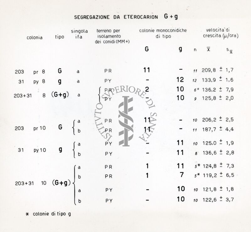 Fattore citoplasmatico in Penicillium