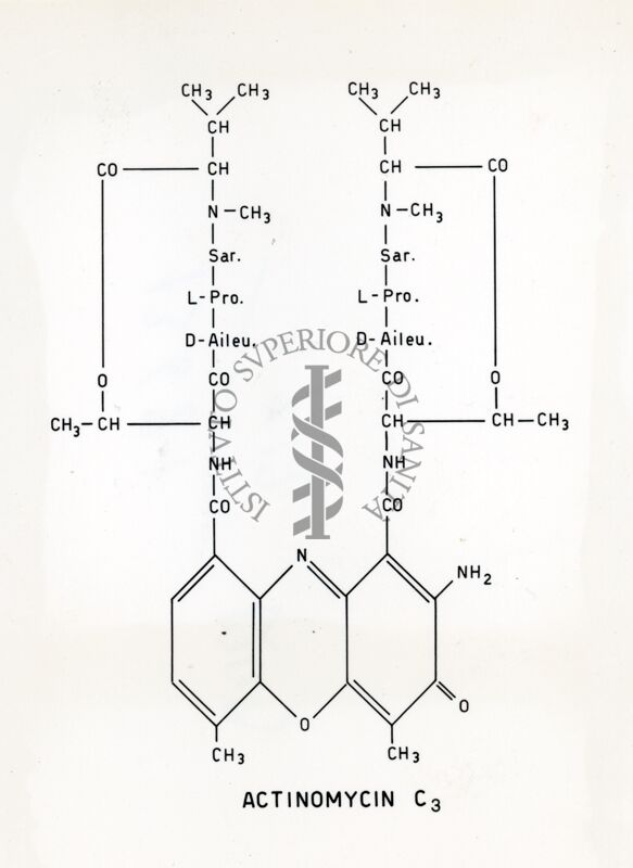 Actinomicina C3