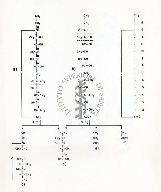 Degradazione della eritromicina  I