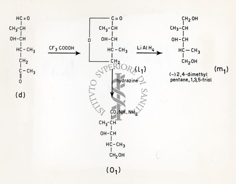 Degradazione della eritromicina  III