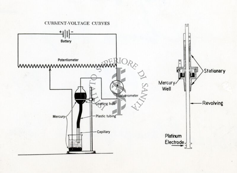 Riproduzione da disegno