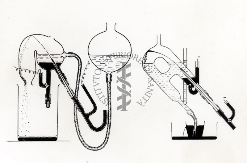 Riproduzione da disegno