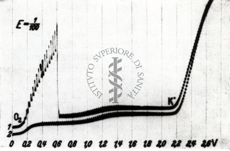 Riproduzione da libro