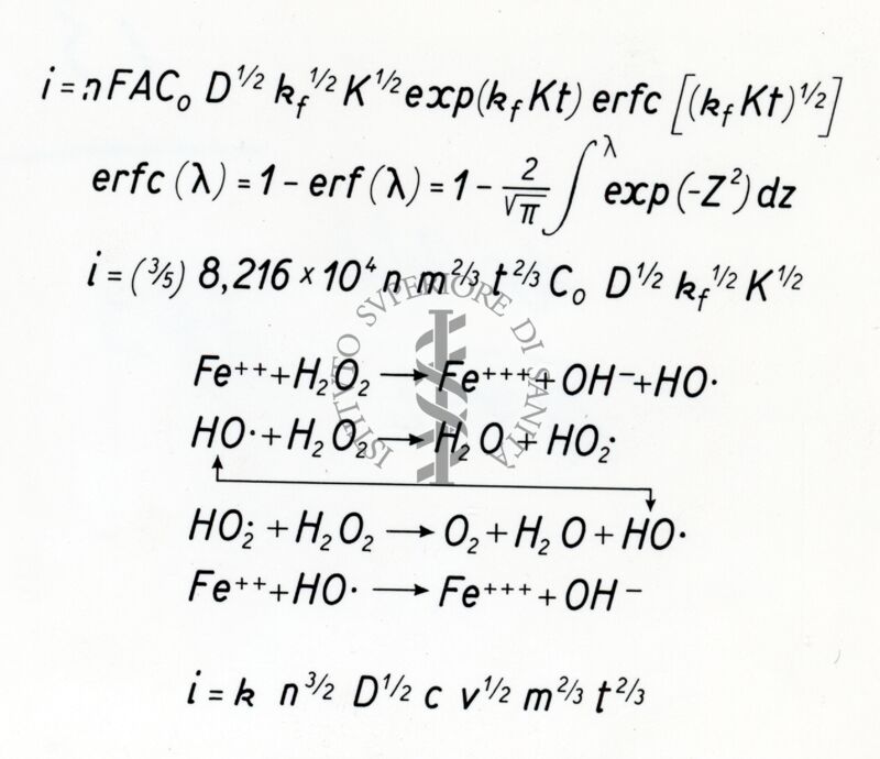 Riproduzione da disegno