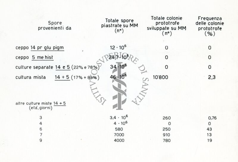 Riproduzione da tabella