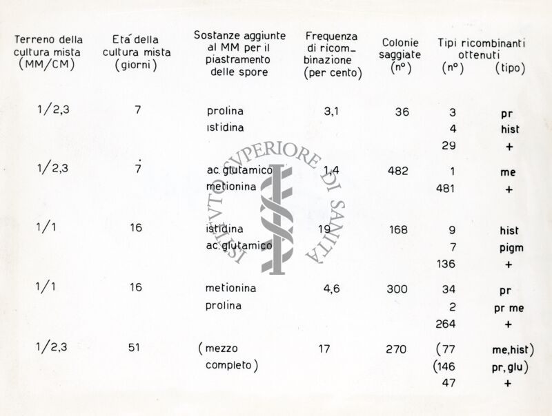 Riproduzione da tabella