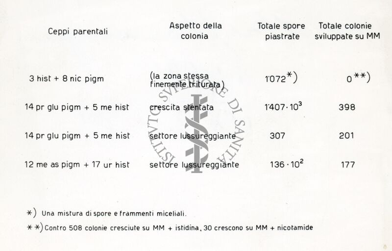 Riproduzione da tabella