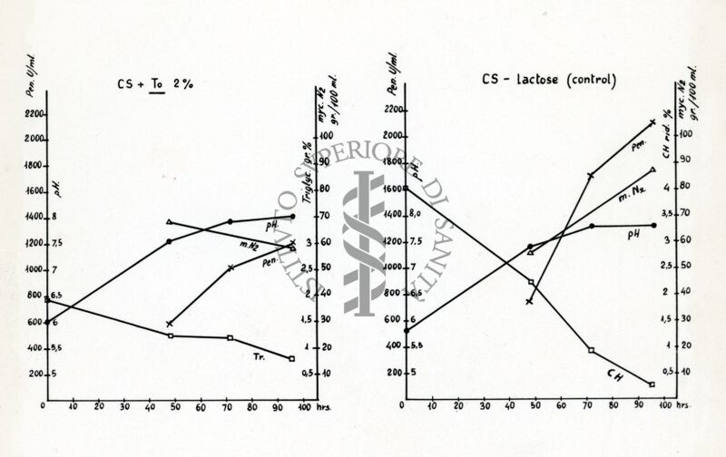 Riproduzione da grafico