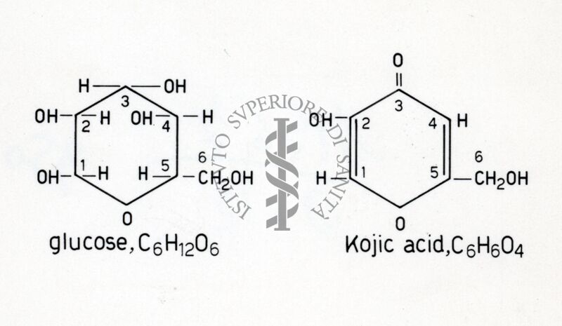 Formule del glucosio e dell' acido koico