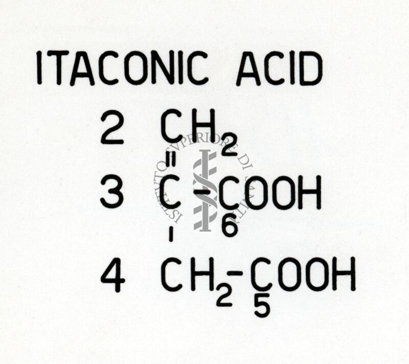 Acido Itaconico