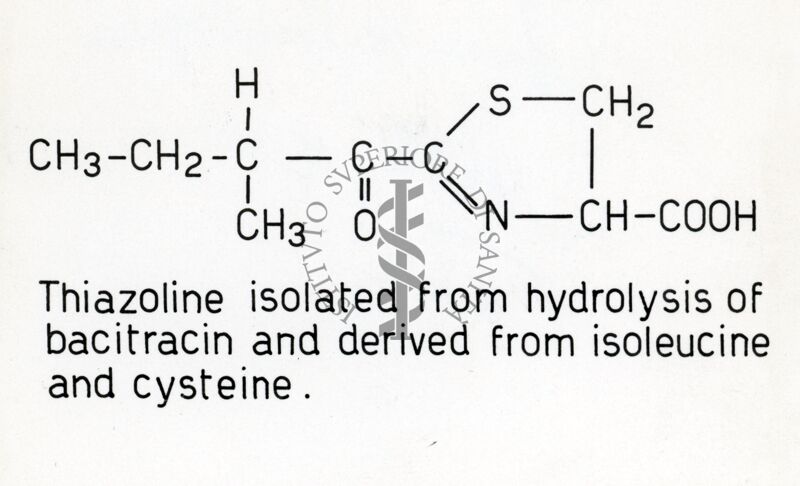 Tiazolina ottenuta per idrolisi della bacitracina
