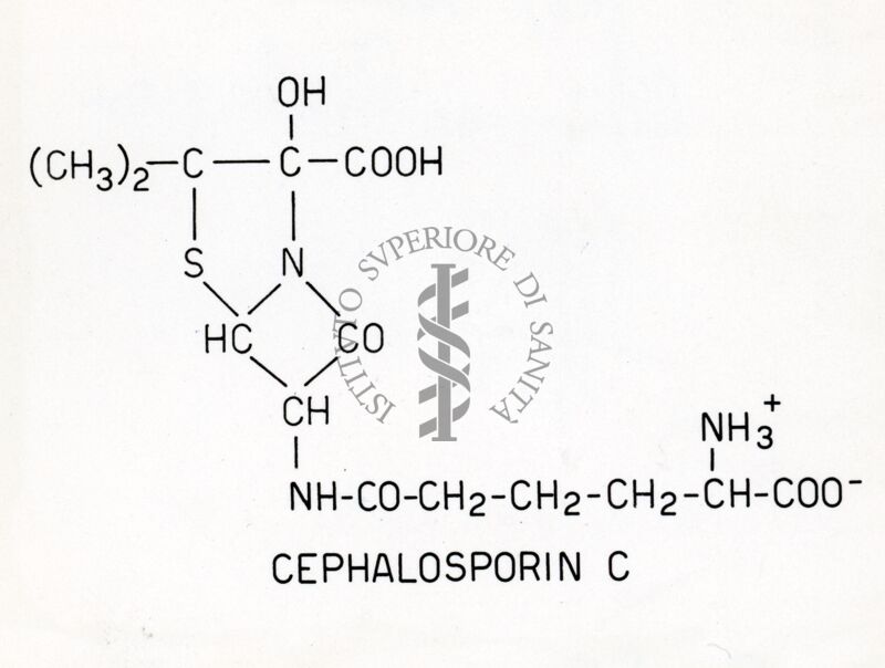 Cefalosporina C.